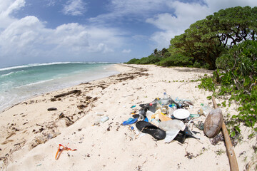 Fototapeta na wymiar Plastic pollution on the beach. Polluted beach on the Mauritius. People's global problem. 