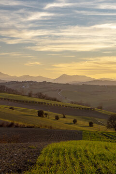 Veduta al tramonto sulle colline marchigiane vicino a Jesi, Marche.