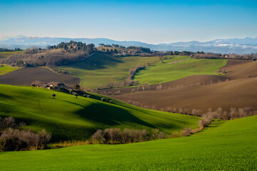 Fototapeta na wymiar La primavera nelle Marche, Italia.
