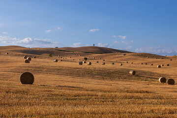 Fototapeta premium Panorama sulle colline della Val d'Orcia di fronte a Pienza, Toscana.
