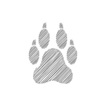 Wolf trail white sketch vector icon. Footpath trail of wild animal
