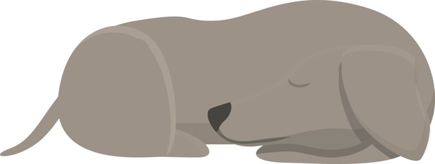 Greyhound sleep icon cartoon vector. Animal dog. Canine sprint