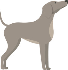 Greyhound waiting food icon cartoon vector. Run animal. Sprint canine