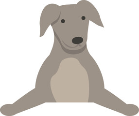 Greyhound puppy icon cartoon vector. Dog animal. Run sprint