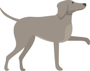 Domestic pet icon cartoon vector. Greyhound animal. Animal canine
