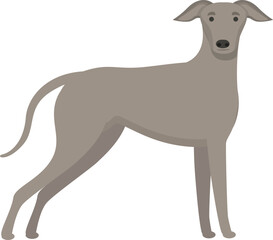 Greyhound icon cartoon vector. Animal run. Canine race