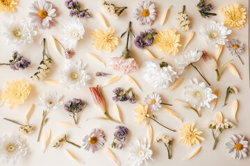 Bright creative spring flowers on a light background, Flat lay, mockup with top view. Valentines day