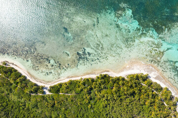 Bounty and pristine tropical shore with coconut palm trees and turquoise caribbean sea. Aerial view...