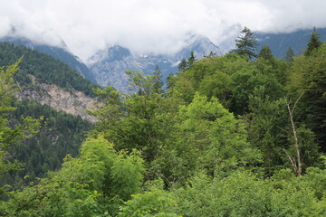 Fototapeta premium Wälder & Berge