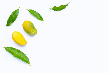 Tropical fruit, Mango  on white background.
