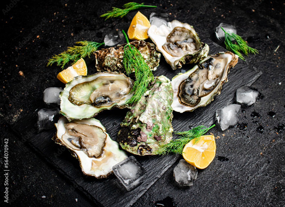 Sticker fresh oysters with greens. on a black background.