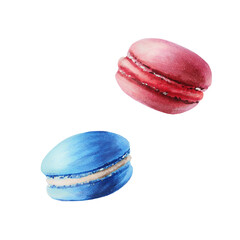 Watercolor fruit macarons. Hand painting sweet on a white isolated background. For designers, menu, shop, polygraphy,bar, bistro, restaurant, for postcards, wrapping paper, covers. For posters and