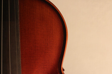 Wooden violin body in brown color