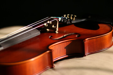 Wooden violin body in brown color