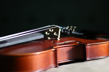 Fototapeta na wymiar Wooden violin body in brown color