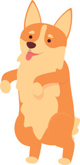 Play corgi icon cartoon vector. Cute dog. Pet doggy