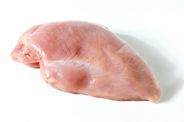 fresh turkey or poultry meat isolated on white background