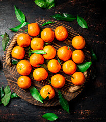 Juicy tangerines with leaves on a wooden tray. 