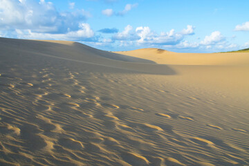 夏の鳥取砂丘 鳥取県 鳥取砂丘