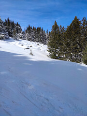 Winter landscape near Platoto area at Vitosha Mountain, Bulgaria