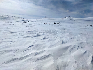 Winter landscape near Platoto area at Vitosha Mountain, Bulgaria