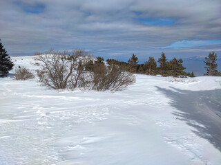 Winter landscape near Platoto area at Vitosha Mountain, Bulgaria