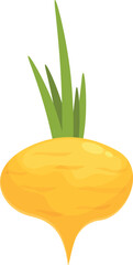 Root icon cartoon vector. Green vegetable. Food farm