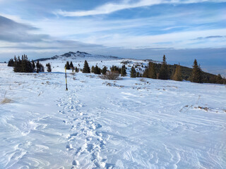 Winter landscape near Platoto area at Vitosha Mountain, Bulgaria