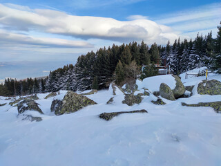 Winter landscape near Platoto area at Vitosha Mountain, Bulgaria