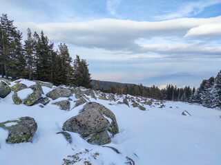 Winter landscape near Platoto area at Vitosha Mountain, Bulgaria