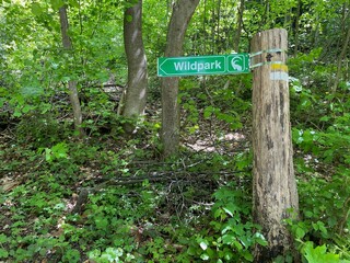 Sign in forest indicating way to animal park, Wildpark. Feldkirch, Vorarlberg, Austria.