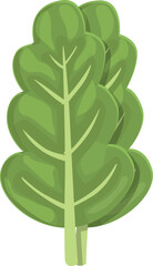 Mangold chard icon cartoon vector. Green plant. Nature leaf