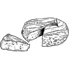 Hand drawn Brie Cheese or Camembert Cheese Sketch Illustration