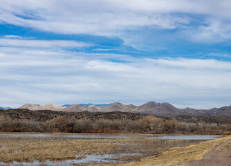 Bosque del Apache marshes with New Mexico mountains in background