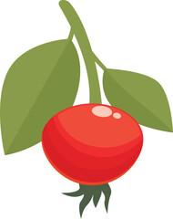 Natural rosehip icon cartoon vector. Berry food. Vitamin ripe