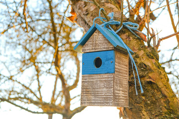 Obraz na płótnie Canvas Birdhouse on a tree close-up. Wooden white blue birdhouse on a tree in a sunny spring park.House for birds. Bird care