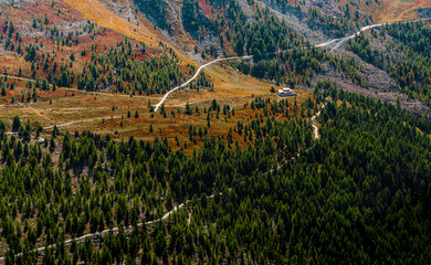 Green pine forest from above with red-orange bands of grass and shrubs divided by rocky roads on the mountainside. Changing seasons from Summer to Autumn.