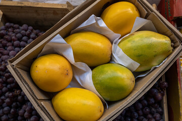 Colorful piles of papayas at an Municipal  Market. Sao Paulo, Brazil