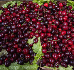 Colorful piles of berries at an Municipal  Market . Sao Paulo, Brazil