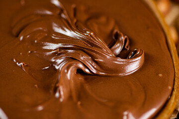 The texture of hazelnut butter. 