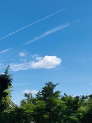 初夏の青空