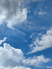 夏の空