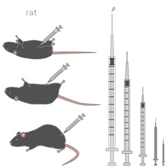 様々な大きさの注射器＆注射されている黒いラットのベクターイラストセット