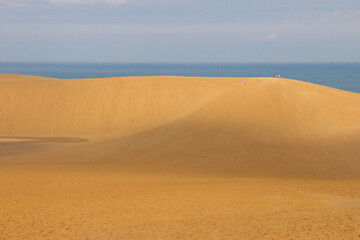 Fototapeta na wymiar Sand Dunes (Tottori Sakyu) overlooking the sea of japan in Tottori prefecture, Japan