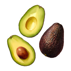 avocado fruit digital drawing with watercolor style illustration