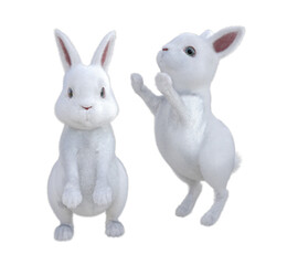 Fototapeta premium Two cute rabbits