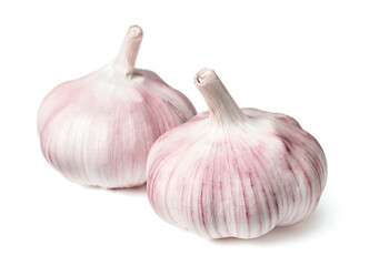 Fresh garlic bulb isolated on the white background.