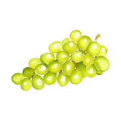 green grape digital drawing with watercolor style illustration