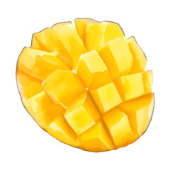 mango digital drawing with watercolor style illustration