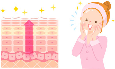 肌のターンオーバー　皮膚の構造と女性